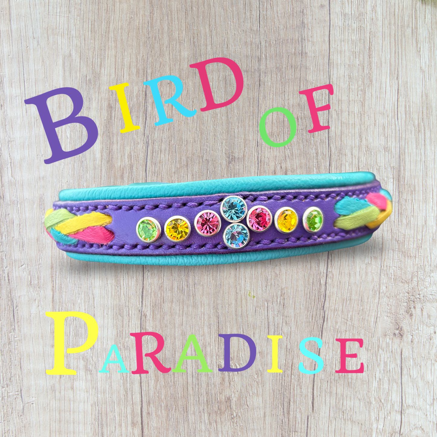 Bird of paradise -Collar