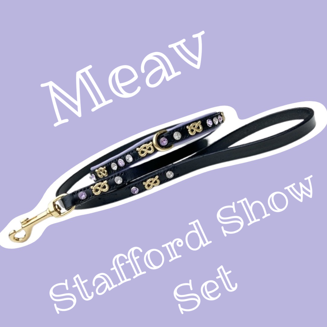 Meav Stafford Show Set