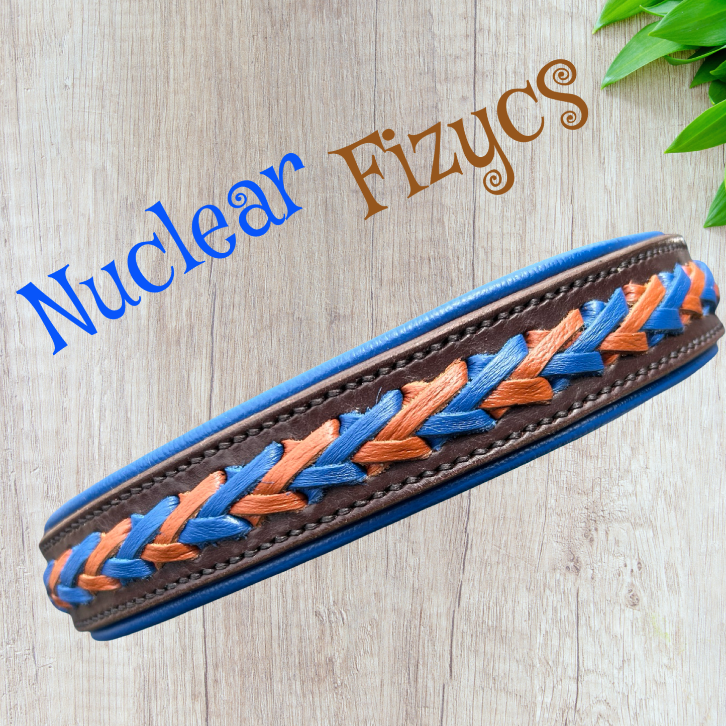 Nuclear Fizycs