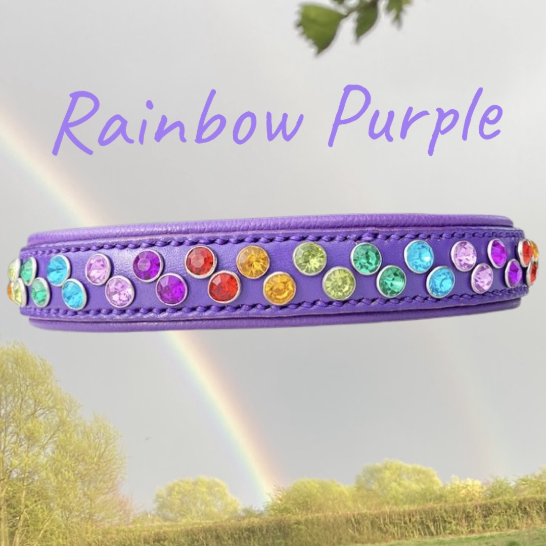 Rainbow Purple