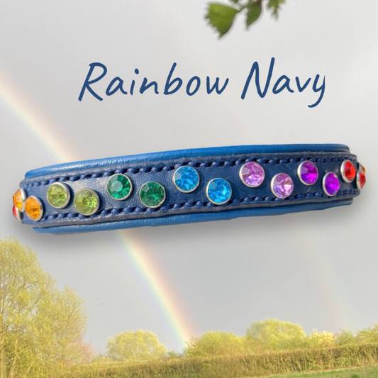 Rainbow Navy