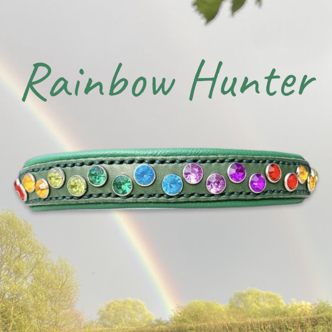 Rainbow Hunter