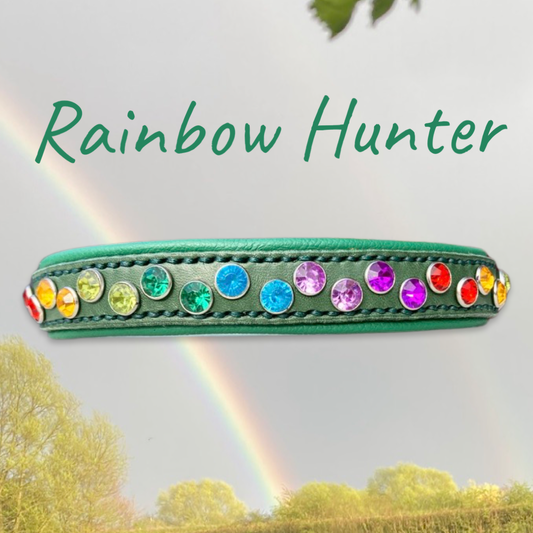 Rainbow Hunter